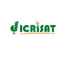  Strategic Partner2